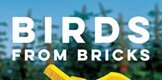 Birds From Bricks – Pre-order Now