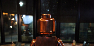 Oakridge Centre – LEGO Brand Retail Store of the Year – 2015