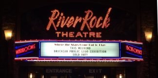 BrickCan 2016 Vancouver – A whale of a tale!