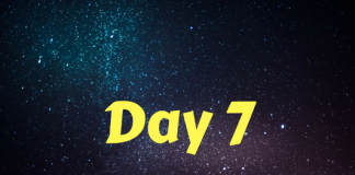 2017 Star Wars Advent Calendar – Day 7