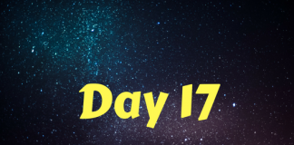 2017 Star Wars Advent Calendar – Day 17