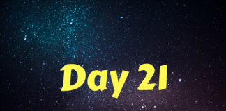 2017 Star Wars Advent Calendar – Day 21