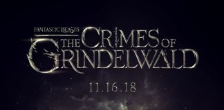 Possible Details on Wizarding World of Harry Potter Sets Surface