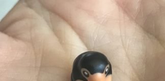 J.K. Rowling Loves Her LEGO Niffler