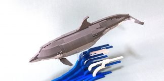 Beautiful Bottlenose Dolphin