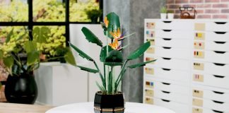 LEGO Design Chris McVeigh Talks Bird of Paradise