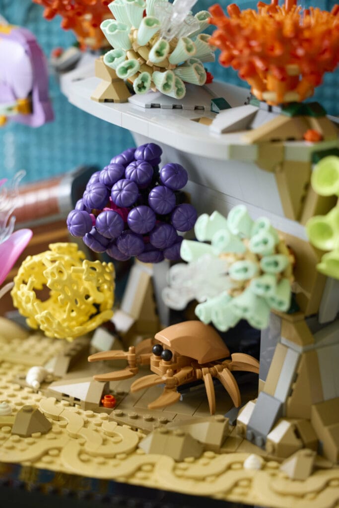 10366 Lifestyle Build 06