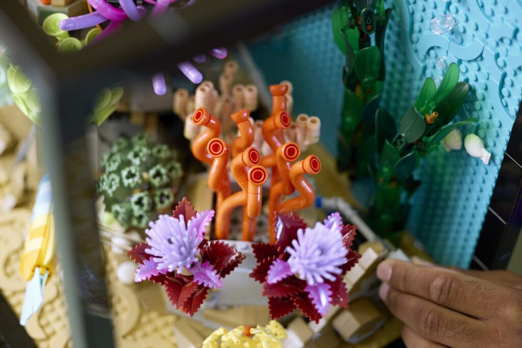 10366 Lifestyle Build 09